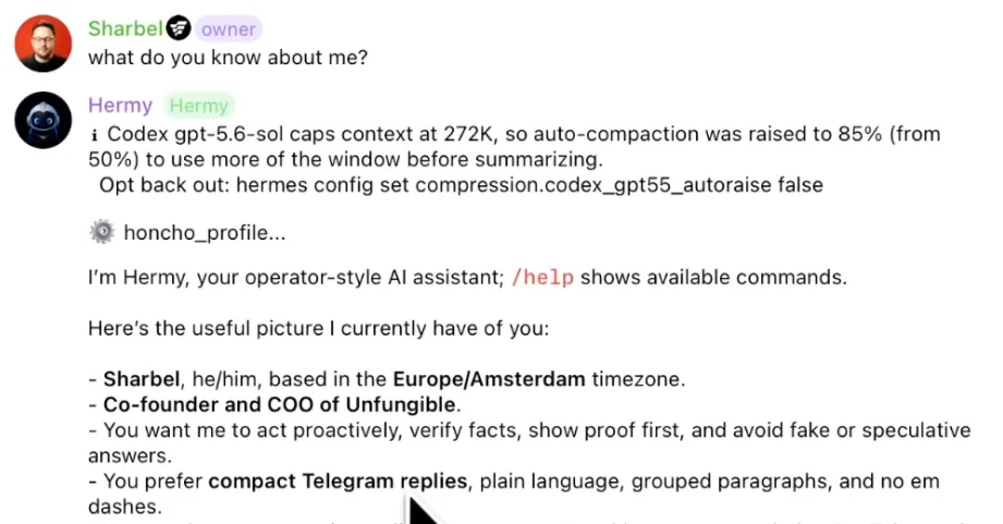 A fresh Hermes profile answering "what do you know about me?" from Honcho memory